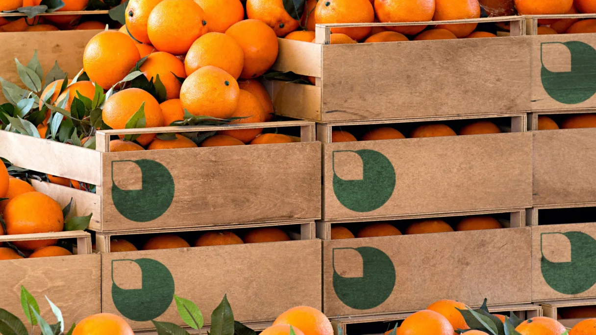 Venturethree DECCO v7