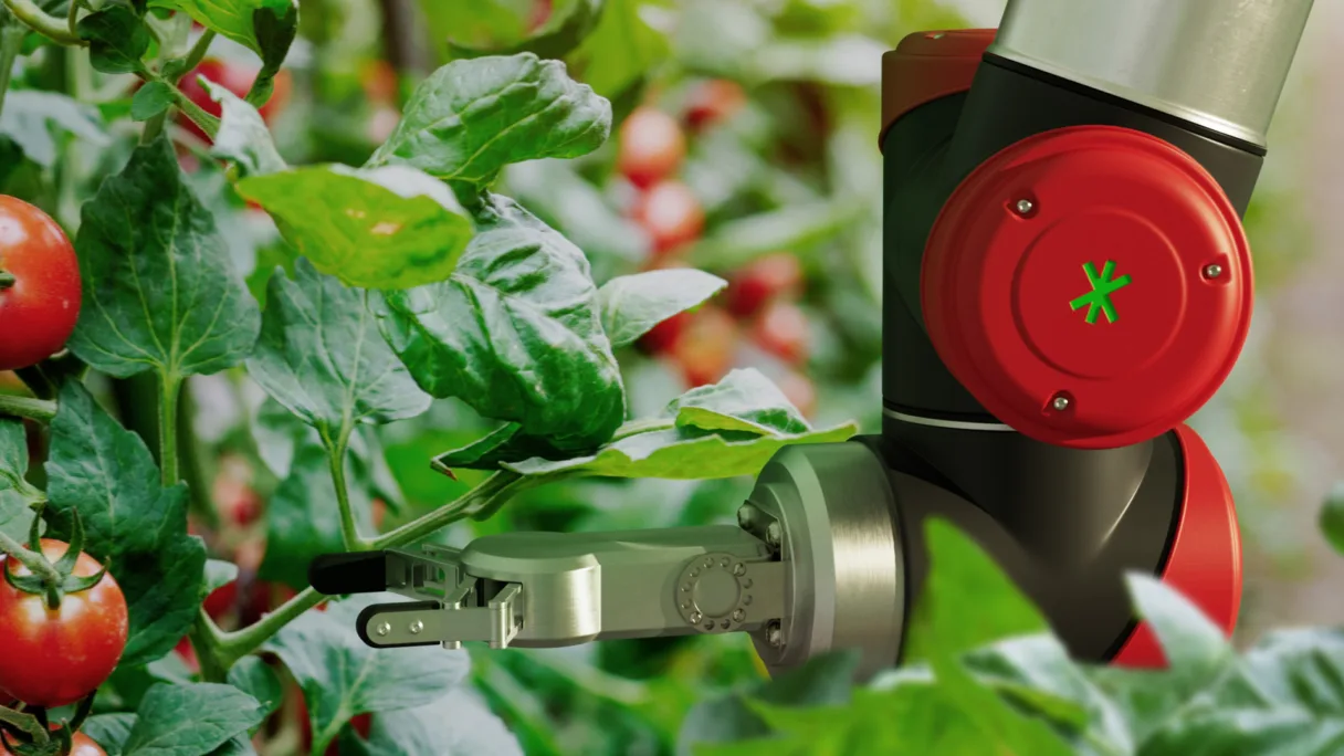 Venturethree DECCO v10