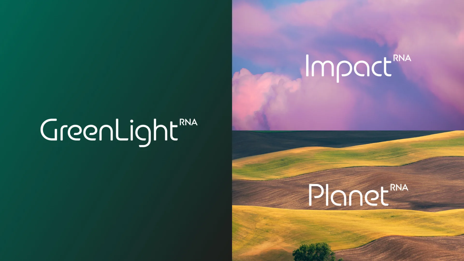 Green Light Casestudy Inline 2