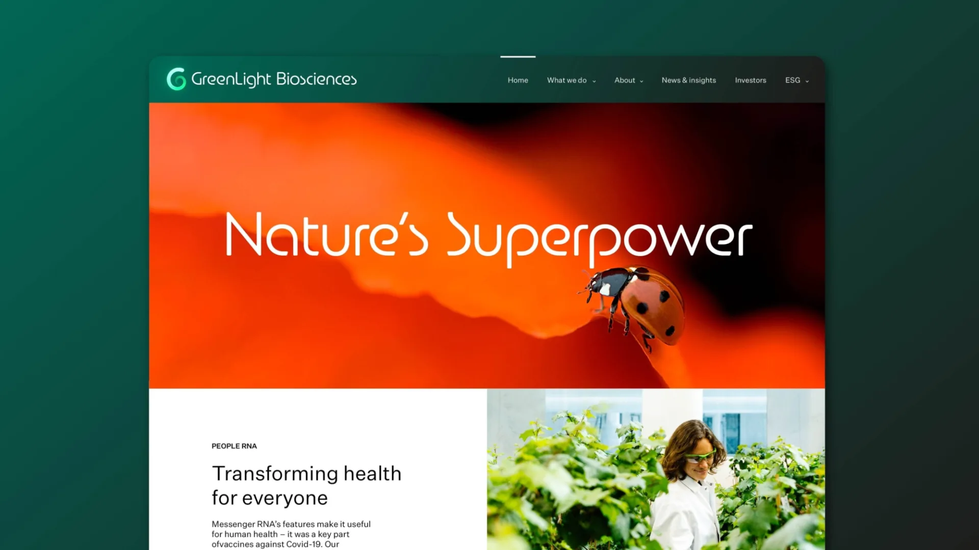 Green Light Casestudy 5