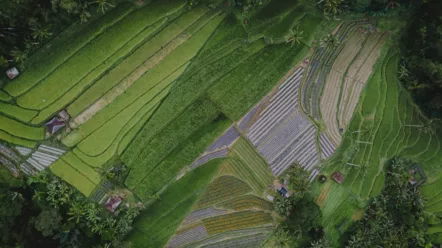 A new brand ecosystem of agricultural innovators